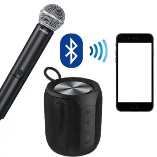 Play Live mic to bluetooth speaker APK