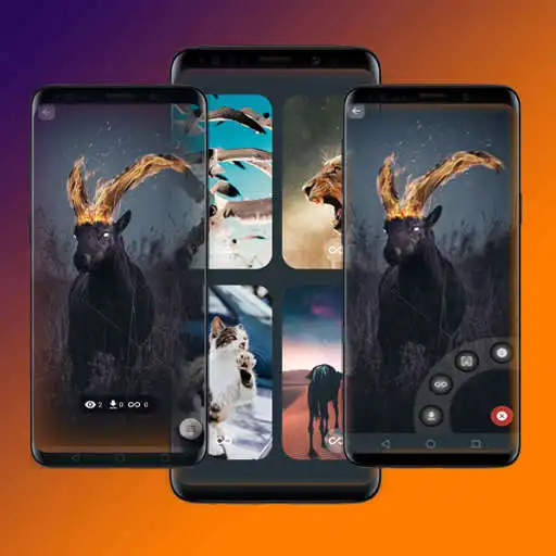 Play Live Wallpapers HD - 4K Loop Backgrounds APK