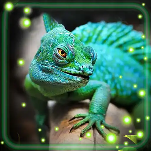 Play Lizards and Chameleons APK