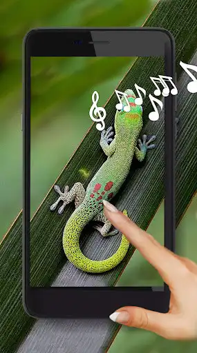 Play Lizards and Chameleons  and enjoy Lizards and Chameleons with UptoPlay