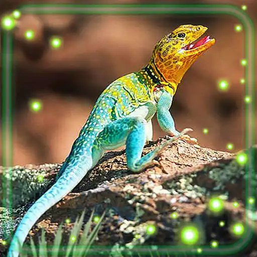 Play Lizards Cool Live Wallpaper APK