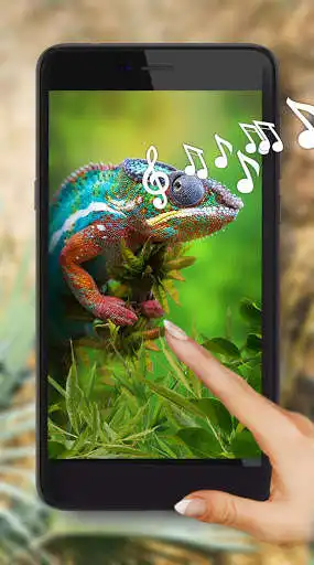 Play Lizards Cool Live Wallpaper  and enjoy Lizards Cool Live Wallpaper with UptoPlay