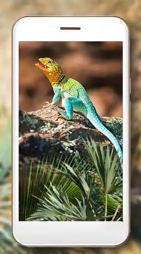 Play Lizards Cool Live Wallpaper as an online game Lizards Cool Live Wallpaper with UptoPlay