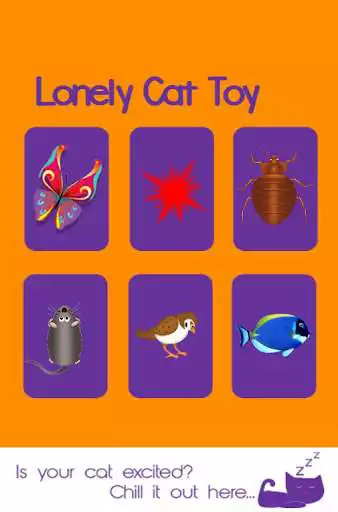 Play Lonely Cat Toy - For Cat Alone  and enjoy Lonely Cat Toy - For Cat Alone with UptoPlay