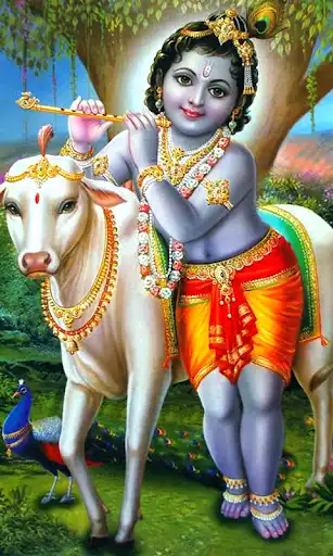 Play Lord Krishna Wallpapers as an online game Lord Krishna Wallpapers with UptoPlay