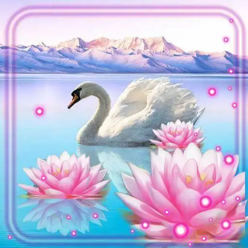 Play Lotus and Swan Live Wallpaper APK