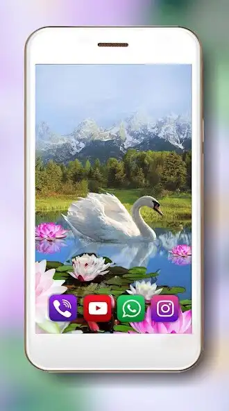 Play Lotus and Swan Live Wallpaper  and enjoy Lotus and Swan Live Wallpaper with UptoPlay