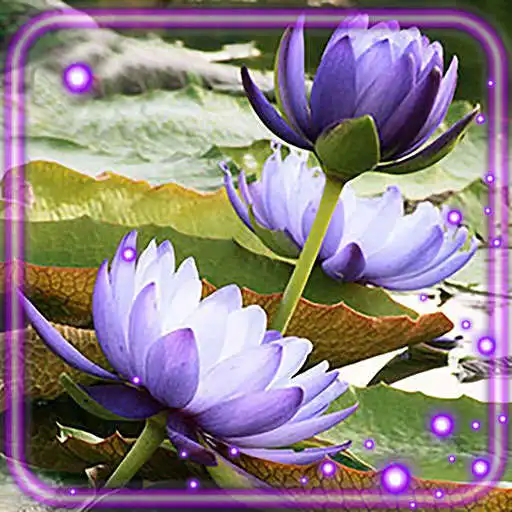 Play Lotus Lake Flowers APK