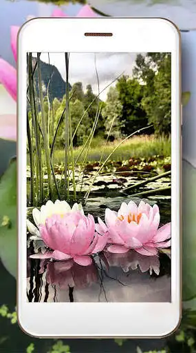 Play Lotus Lake Flowers as an online game Lotus Lake Flowers with UptoPlay