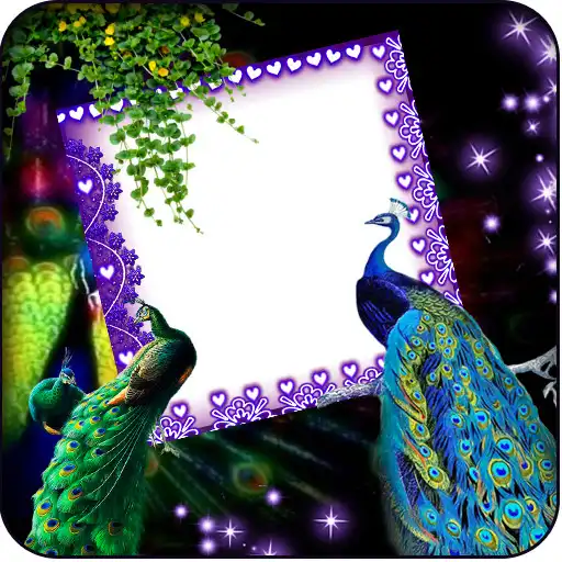 Play Love Bird Insta DP Maker APK