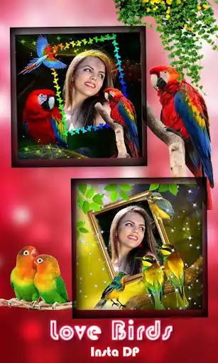 Play Love Bird Insta DP Maker  and enjoy Love Bird Insta DP Maker with UptoPlay