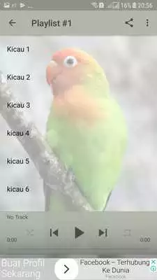 Play Lovebird Kicau Master