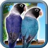 Free play online Lovebirds Unified Common APK