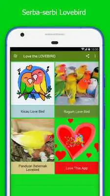 Play Love the LOVEBIRD