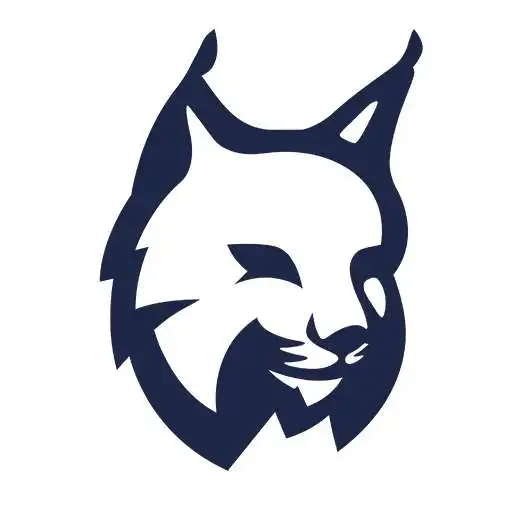 Free play online Lynx Privacy-Hide photo/video, Free 5GB Backup  APK