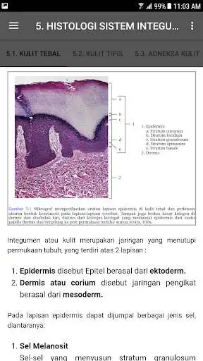 Play M3 Kedokteran : Sistem Integumen as an online game M3 Kedokteran : Sistem Integumen with UptoPlay