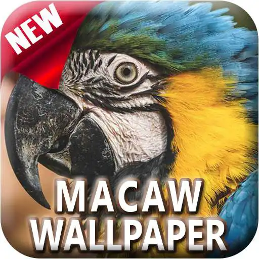 Play Macaw Bird Offline Wallpapers 4K HD APK