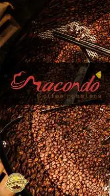 Play Macondo Coffee