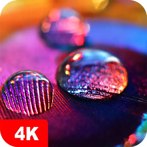 Play Macro Wallpapers 4K APK