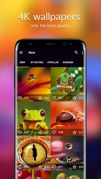 Play Macro Wallpapers 4K  and enjoy Macro Wallpapers 4K with UptoPlay