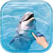 Free play online Magic Ripple : Cute Dolphin APK