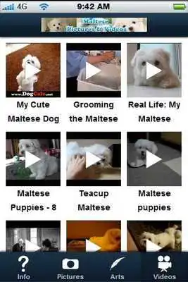 Play Maltese!