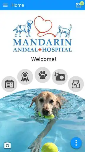 Play Mandarin Vet  and enjoy Mandarin Vet with UptoPlay