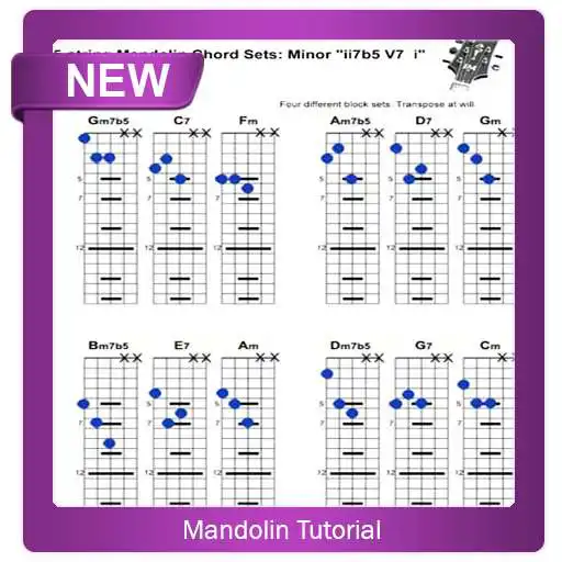 Play Mandolin Tutorial APK