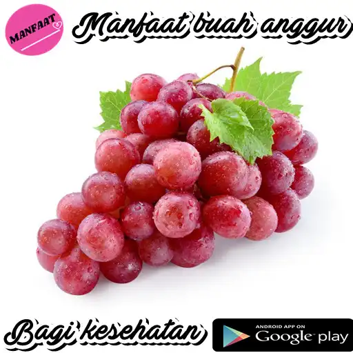 Play Manfaat Anggur APK