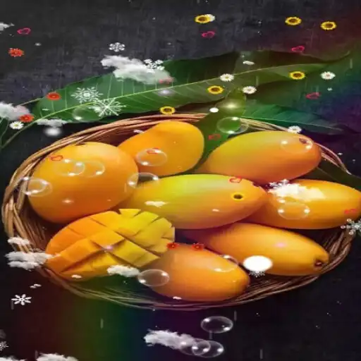 Play Mango Wallpaper APK