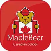 Free play online Maple Bear +Pertoo APK