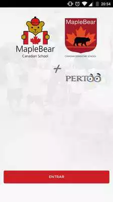 Play Maple Bear +Pertoo