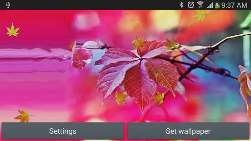 Play Maple Leaf Live Wallpaper as an online game Maple Leaf Live Wallpaper with UptoPlay