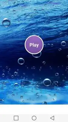 Play Marine Animals Match