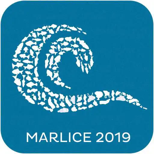 Play Marlice 2019 APK