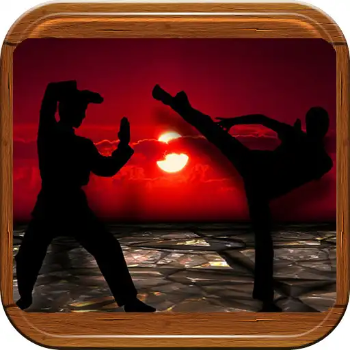 Play Martial Arts Wallpapers APK