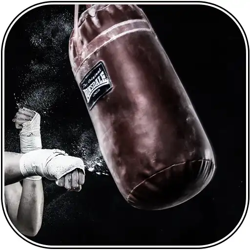 Play Martial Art Wallpapers APK