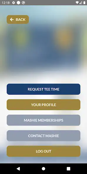 Play MASHIE as an online game MASHIE with UptoPlay