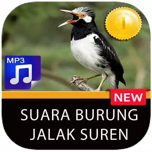 Play Masteran burung Jalak Suren APK