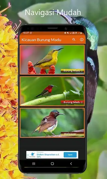 Play Masteran Burung Madu Offline  and enjoy Masteran Burung Madu Offline with UptoPlay