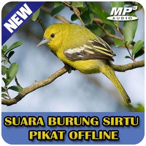 Play Masteran Burung Sirtu Pikat Offline APK