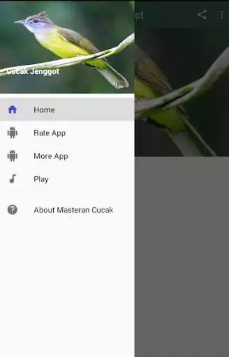 Play APK Masteran Cucak Jenggot  and enjoy Masteran Cucak Jenggot with UptoPlay com.masteran.cucak.jenggot.bara