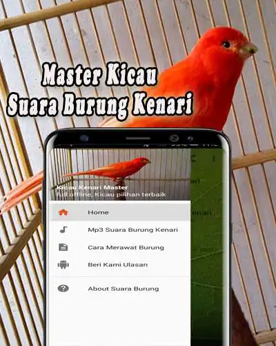 Play Masteran Kenari Gacor Panjang MP3  and enjoy Masteran Kenari Gacor Panjang MP3 with UptoPlay