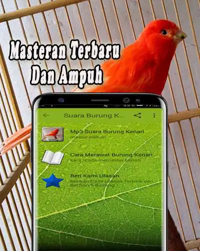 Play Masteran Kenari Gacor Panjang MP3 as an online game Masteran Kenari Gacor Panjang MP3 with UptoPlay