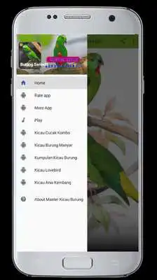 Play Master Kicau Burung Serindit