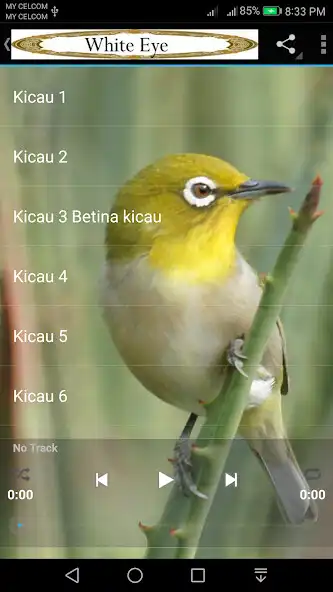 Play Mata Putih_Pleci_White eye  and enjoy Mata Putih_Pleci_White eye with UptoPlay