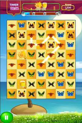 Play Match Butterfly