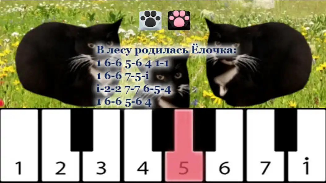 Play Maxwell the Cat piano  and enjoy Maxwell the Cat piano with UptoPlay