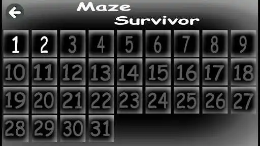 Play Maze Survivor as an online game Maze Survivor with UptoPlay