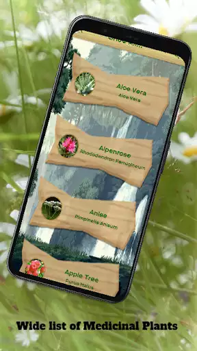 Play Medicinal Plants  Remedies as an online game Medicinal Plants  Remedies with UptoPlay